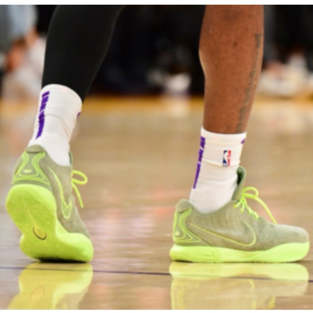 ✔️New✔️ NIKE Lebron 21 Algae